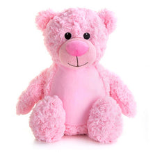 Load image into Gallery viewer, Personalised Record-A-Voice Teddy Bear - Pink