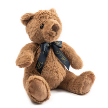 Load image into Gallery viewer, Record-A-Voice Brown Teddy Bear