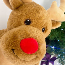 Load image into Gallery viewer, Personalised Reindeer Soft Toy
