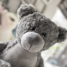 Load image into Gallery viewer, Personalised Record-A-Voice Teddy Bear - Grey
