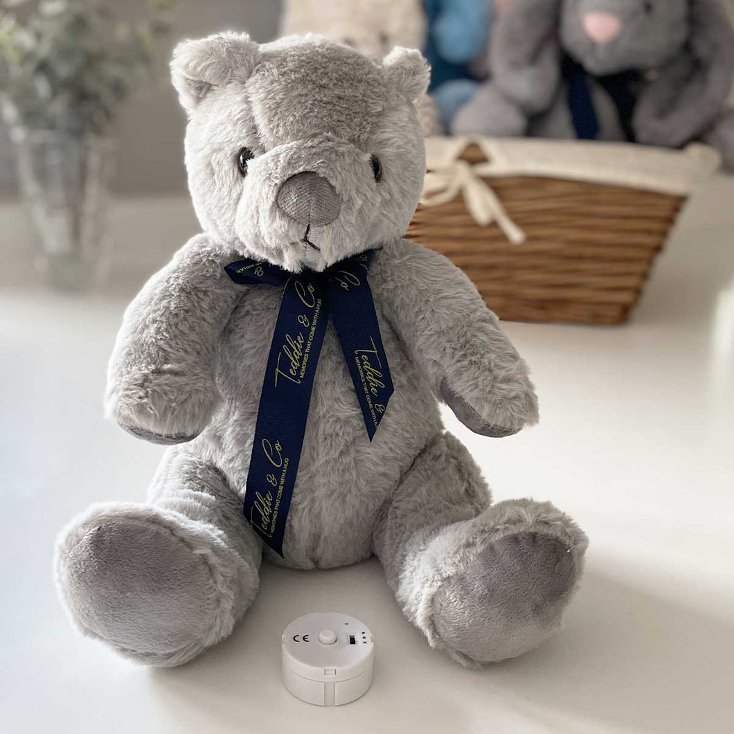 Stuffed bear record voice top