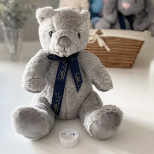 You added Record-A-Voice Grey Teddy Bear to your cart.