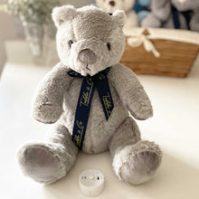 Load image into Gallery viewer, Record-A-Voice Grey Teddy Bear
