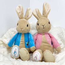 Load image into Gallery viewer, My First Classic Peter Rabbit™ Plush Soft Toy - Flopsy
