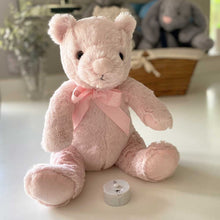 Load image into Gallery viewer, Record-A-Voice Pink Teddy Bear
