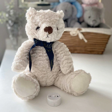 Load image into Gallery viewer, Record-A-Voice Teddy Bear

