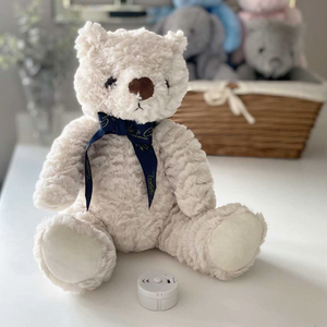 You added Record-A-Voice Teddy Bear to your cart.