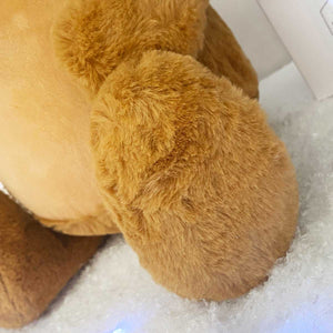 Personalised Reindeer Soft Toy